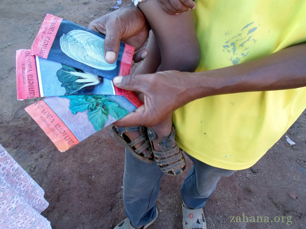 Seed packages for vegetables