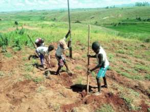 Strating young with reforestation