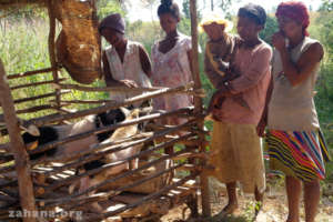 Checking out the pig pen of one of the members