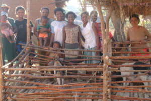Women's Group checking on the pigs