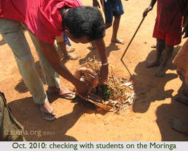 OCT 2010: Planting Moringa in schoolyard