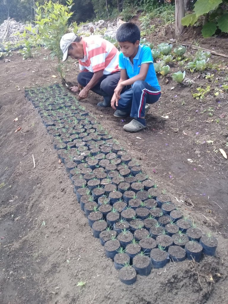 Best nutrition for q'eqchi families in Guatemala