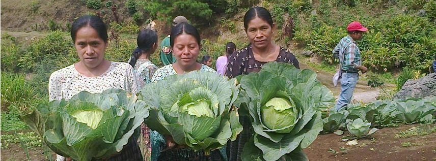 Best nutrition for q'eqchi families in Guatemala