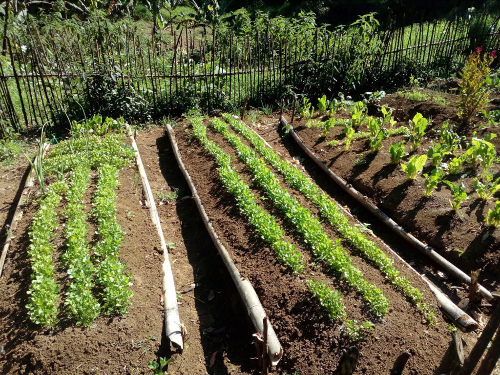 Best nutrition for q'eqchi families in Guatemala