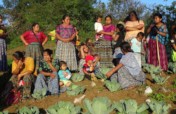 Best nutrition for q'eqchi families in Guatemala