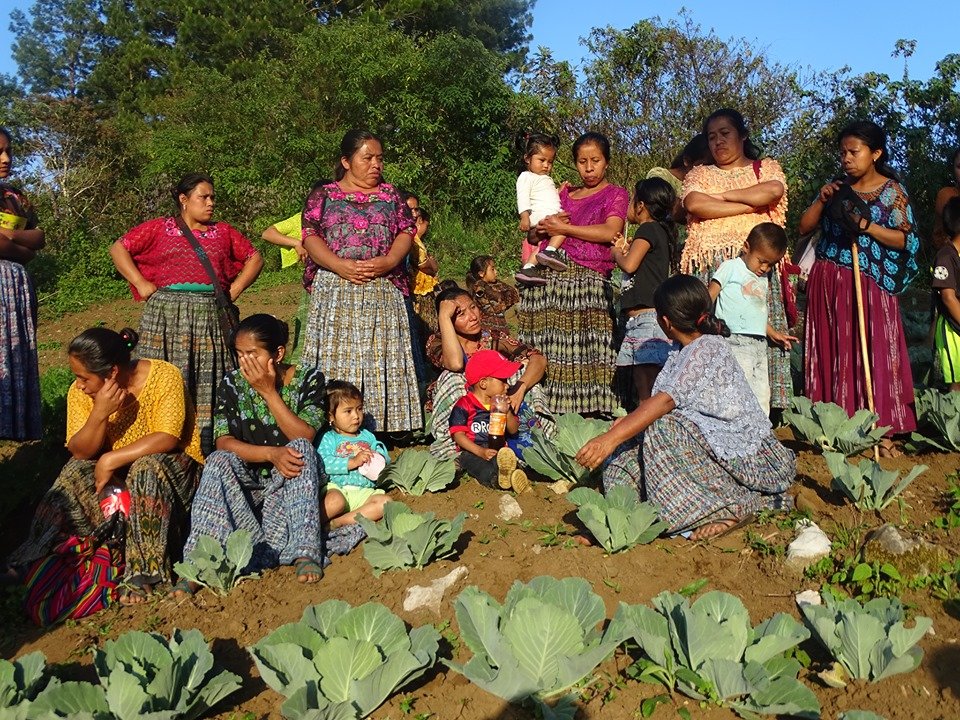 Best nutrition for q'eqchi families in Guatemala
