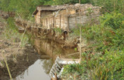 Donation for Akit tribe Against Covid-19