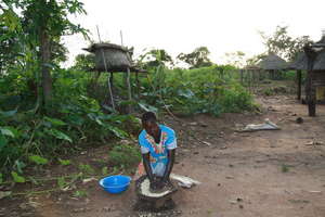 Hand grinding maize
