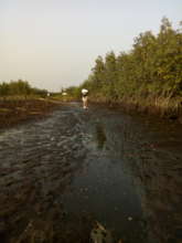 River bank, women carrying items into Bomigo