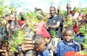 One Student One Tree and Conservation Education