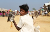 Food Package for 4,000 Families Rohingya Refugees