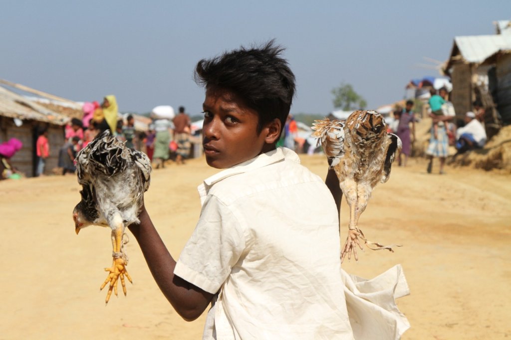 Food Package for 4,000 Families Rohingya Refugees