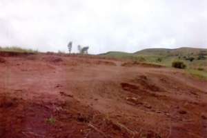 Where the Vegetable Garden Will Be
