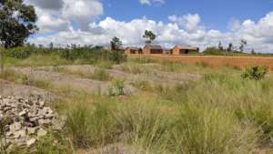 Distant View of NY DINA College