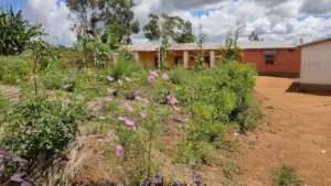 The Transformed School Grounds