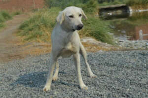 Bianca was still unsure if we would harm her