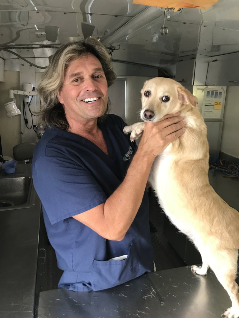 My Dog Is On The Pill: Super Birth Control Cookies