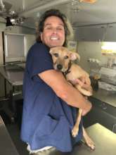 A rescued Pilot Pup at the veterinary clinic.