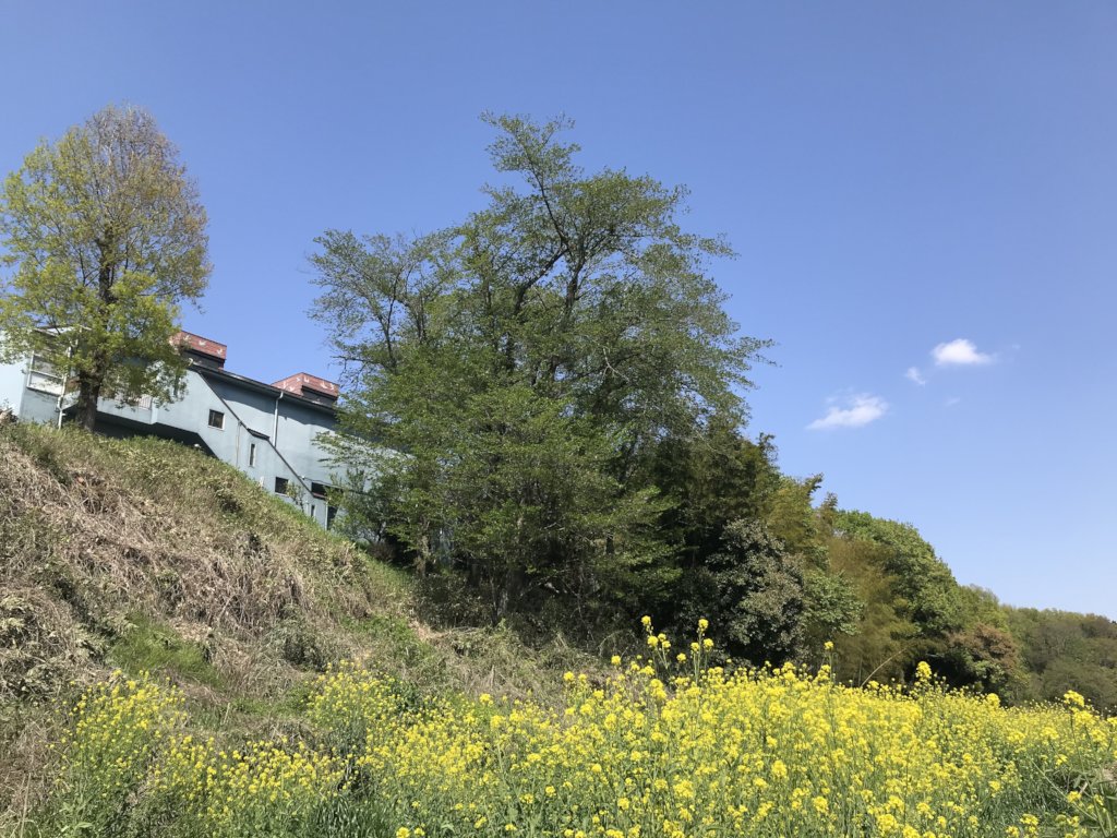 Create Virtual Tours to Share the Hiroshima Panels