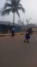 Children crossing the road