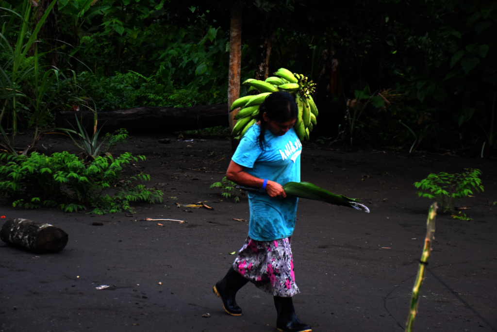 Help Indigenous Ecuadorians in the Amazon