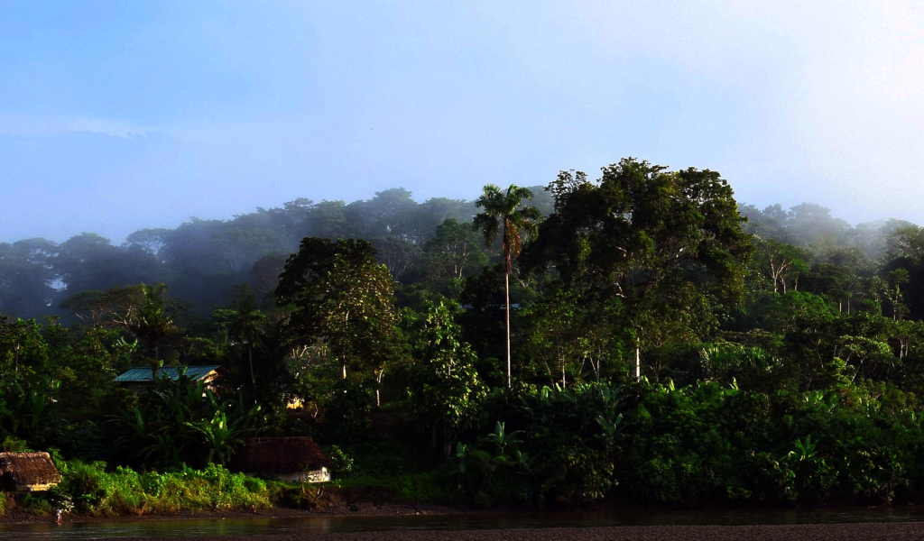 Help Indigenous Ecuadorians in the Amazon