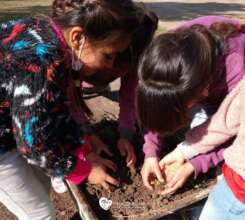 The children of the centre in the vegetable garden