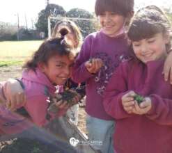The children of the centre in the vegetable garden