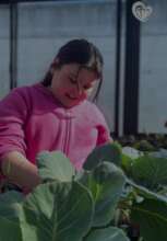 Our fruit and vegetable production