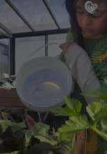 Our fruit and vegetable production