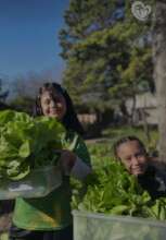 Our fruit and vegetable production
