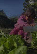 Our fruit and vegetable production