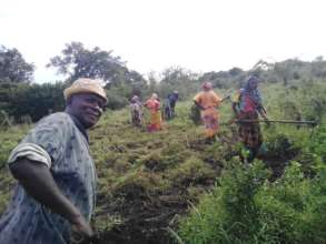 Agroforestry Project