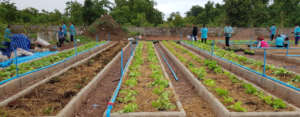 Organic Agriculture Club