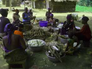 Women processing cassava into gari(cassava flakes)