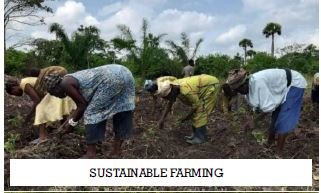 Help Nyitawuta Village Achieve Self-Sufficiency