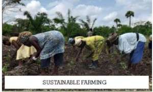 Sustainable Farming