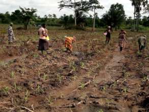 AGRICULTURE