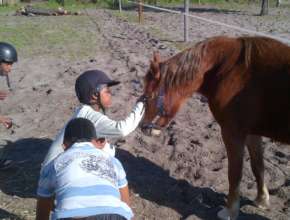 Broken neck pony and abused children