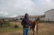 Save Tom Ro Haven for Equines and Children