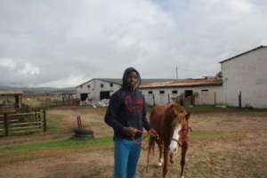 Save Tom Ro Haven for Equines and Children