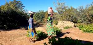 Women carrying river sand to make cement