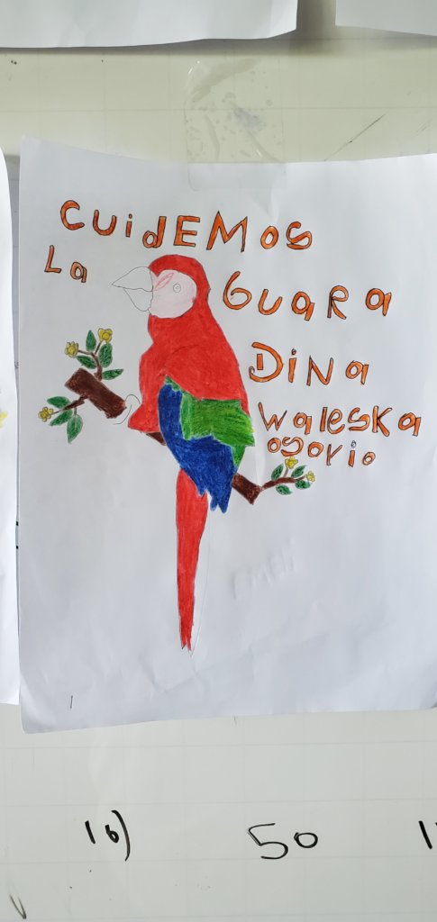 Fund 16 Honduran Women Saving Endangered Parrots