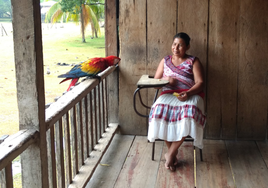 Fund 16 Honduran Women Saving Endangered Parrots