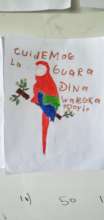 Child's drawing of a scarlet macaw.