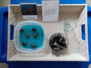 Land forms and water bodies