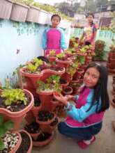 Female students working in horticulture class