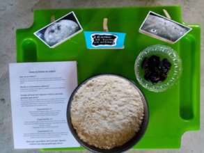 How a crater is formed scientific experiments
