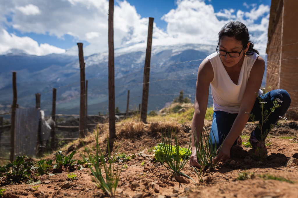 Save more than 630 kids from anemia in rural Peru!