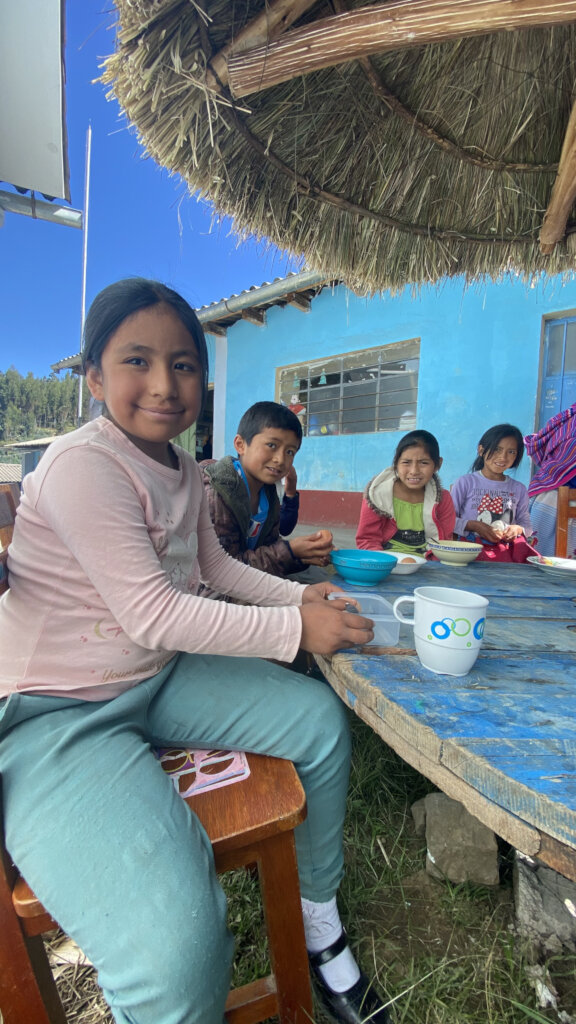 Save more than 630 kids from anemia in rural Peru!